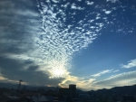 Mwave合宿4回目2日目の夕方