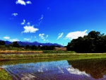 田植え/八ヶ岳
