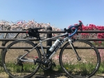 花桃とDEFY 1