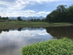 田植え/作業前